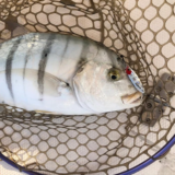 El mejor microjig para slow jigging de AliExpress